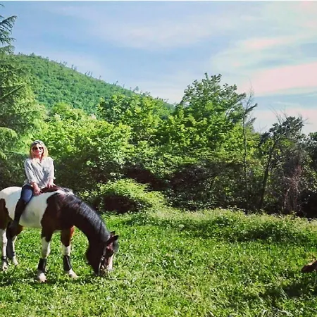 Bed & Breakfast Lo Chalet Della Valle